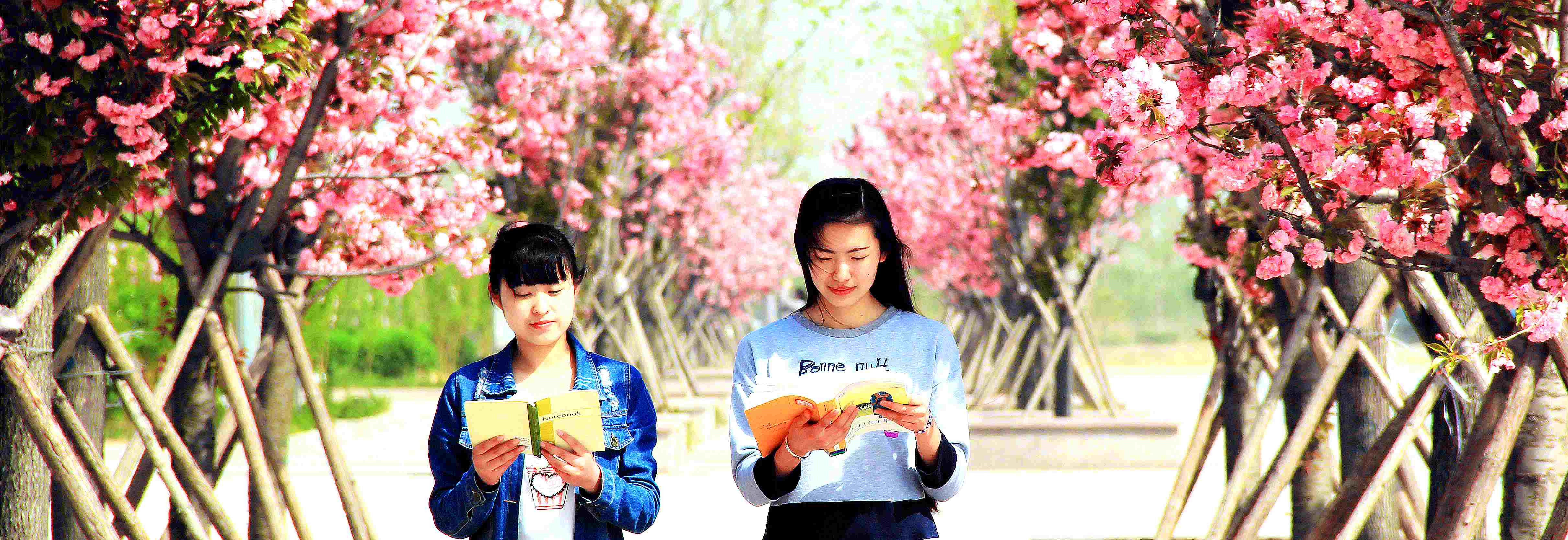 联系我们